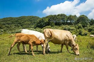 法媒：里昂预算通过官方审批，冬季将花费5000万欧元引援争取保级